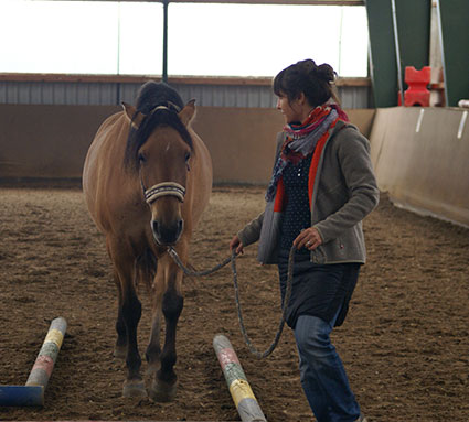 Bettina Dimai beim MitPferd Training